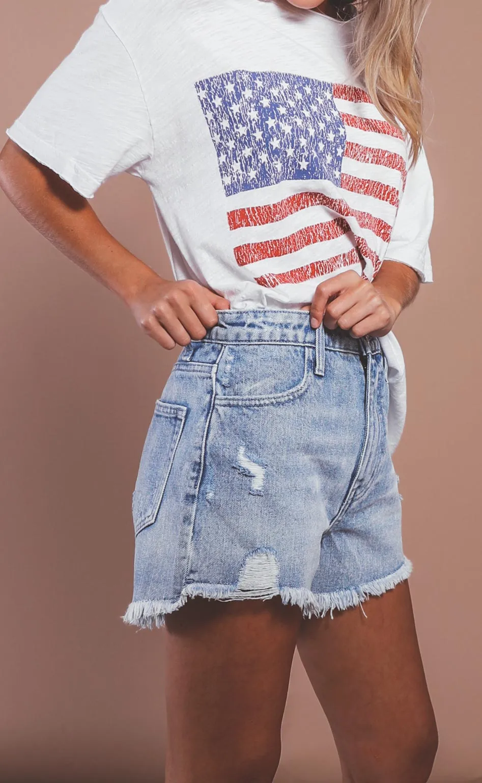 show me your mumu: arizona high waisted shorts - rainwater